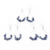 Dangle Earrings EJEW-E255-B-2