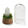 Natural Quartz Crystal Bullet Display Decoration with Glass Dome Cloche Cover DJEW-B009-02H-2