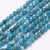 Natural Apatite Beads Strands G-F509-17-4mm-1