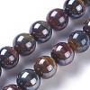 Natural Tiger Eye Beads Strands G-P428-07-10mm-2