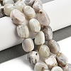 Natural Striped Agate/Banded Agate Beads Strands G-Z061-A02-01-2
