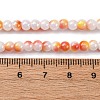 Glass Beads Strands LAMP-R020-04-5
