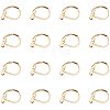304 Stainless Steel Leverback Earring Findings STAS-PH0018-28G-1