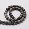 Natural Map Stone/Picasso Stone/Picasso Jasper Round Beads Strands G-E329-10mm-47-2