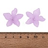 Translucent Acrylic Beads FACR-5335-6-3