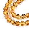 Natural Amber Beads Strands G-K387-D02-03-3