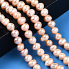 Natural Cultured Freshwater Pearl Beads Strands PEAR-N013-06M-2