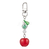 Tomato Resin Pendant Decoration HJEW-JM02598-2