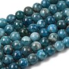 Natural Apatite Beads Strands G-F674-04-8mm-2