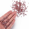 8/0 Glass Seed Beads SEED-S006-32-5