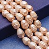 Natural Cultured Freshwater Pearl Beads Strands PEAR-P060-03A-1