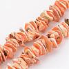 Natural Shell Bead Strands BSHE-P010-09-1