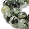 Natural Prehnite Beads Strands G-P322-48-10mm-01-4