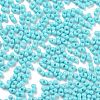Baking Paint Glass Seed Beads SEED-A033-04P-3