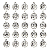 Tibetan Style Alloy Pendants FIND-DC0006-12A-1