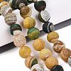 Natural Weathered Agate Beads Strands G-Q606-42B-D03-1