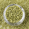 Frosted Opaque Glass Seed Beads X-SEED-S042-06A-06-2