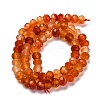 Natural Red Agate(Dyed & Heated) Beads Strands G-K380-A49-07-3