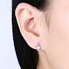 Exquisite 925 Sterling Silver Cubic Zirconia Stud Earrings EJEW-BB20112-2