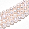 Natural Cultured Freshwater Pearl Beads Strands PEAR-N013-06-A-2