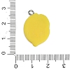 Resin with Alloy Pendants LS-RE-CBA08CD-09A-3