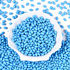 Baking Paint Glass Seed Beads SEED-T007-15N-1