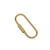 Brass Screw Carabiner Lock Charms KK-ZX025-61C-1