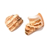 Natural Shell Bead Strands BSHE-P010-06-5