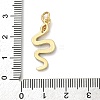 Brass Micro Pave Cubic Zirconia Pendants KK-H494-01G-04-3