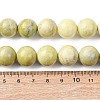Natural Lemon Jade Beads Strands G-H343-D01-14mm-5