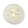 Flat Round Natural Selenite Slice Coasters AJEW-C042-01E-1