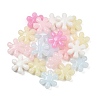 Plastics Beads KY-B005-02A-1
