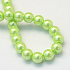 Baking Painted Pearlized Glass Pearl Round Bead Strands HY-Q003-6mm-07-4