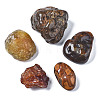 Natural Agate Display Decorations G-N0326-81-1