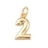 Brass Charms KK-G544-10G-02-1