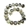 Natural Prehnite Beads Strands G-H078-B08-01-3