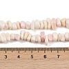 Natural Pink Shell Beads Strands X-SSHEL-L016-19-5