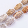 Natural Fossil Coral Beads Strands G-F554-09-2