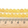 Natural Amber Beads Strands G-L095-B01-6mm-01-5