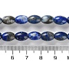 Natural Lapis Lazuli Beads Strands G-I369-B15-01-5