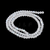 Transparent Glass Beads Strands LS-EGLA-A044-T2mm-MB19-4