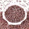 Picasso Glass Seed Beads SEED-Q041-02M-2