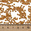 8/0 Baking Paint Glass Seed Beads SEED-M012-02A-51-4