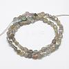 Natural Labradorite Beads Strands G-F521-42-2