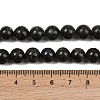 Natural Seraphinite Beads Strands G-H337-A03-04-5