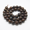 Natural Bronzite Beads Strands G-G212-12mm-42-2