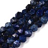 Dyed Natural Lapis Lazuli Beads Strands G-T138-218-4