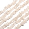 Natural Quartz Crystal Chip Beads Strands G-M205-05-1