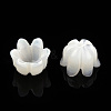 Natural White Shell Bead Caps SSHEL-N032-58A-3