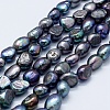 Natural Cultured Freshwater Pearl Beads Strands PEAR-K004-02B-1